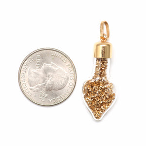 14k Gold Shake Charm II